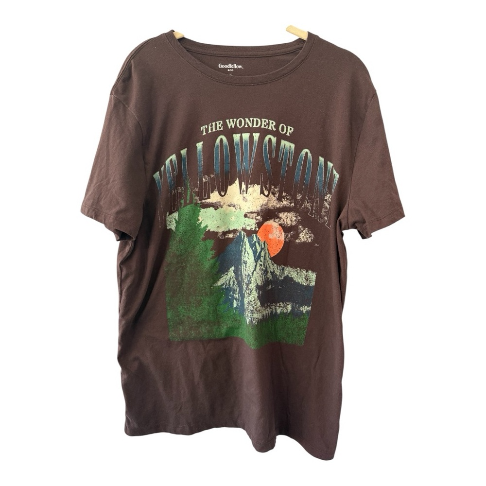 Goodfellow & Co Yellowstone Brown Tee in Size L
